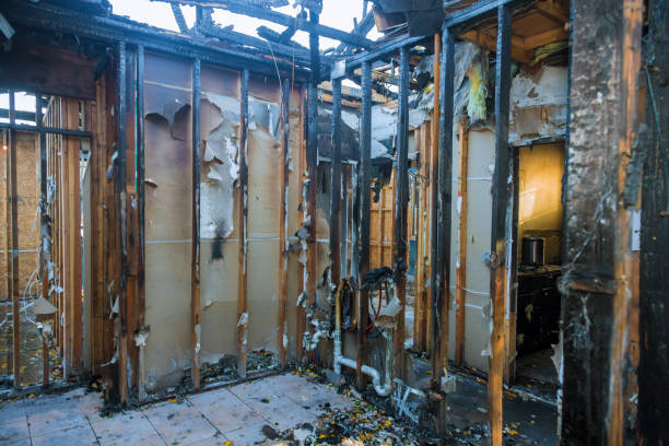 Professional Structural Rebuild technician working in Lakeville, MN